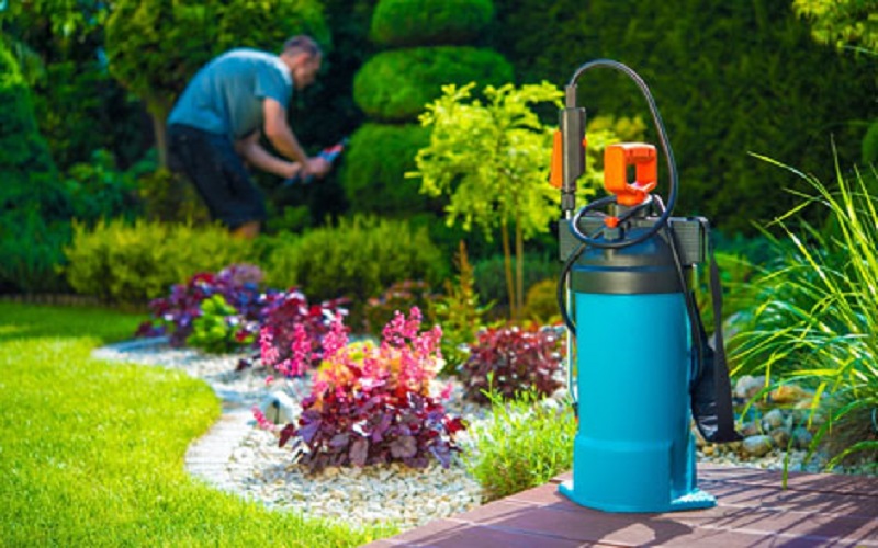 Plant & Pest Management