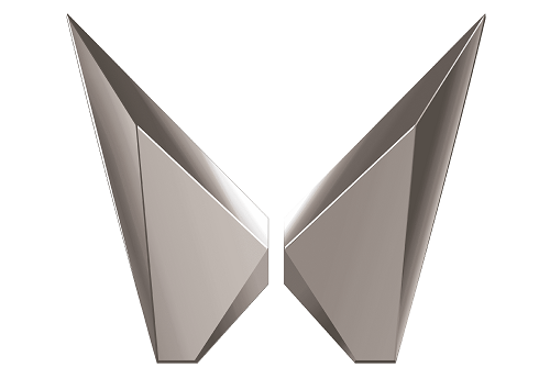 APPEARAL EXPORT PROMOTION COUNCIL