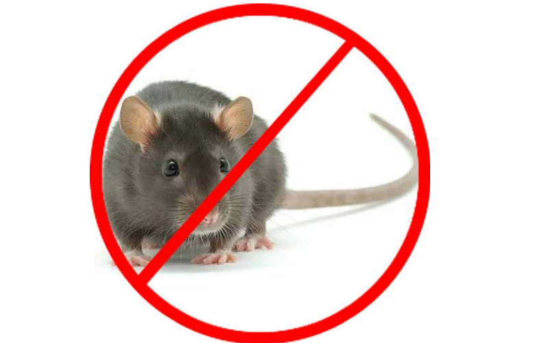 Rodent Control